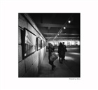 dailyPhoto37